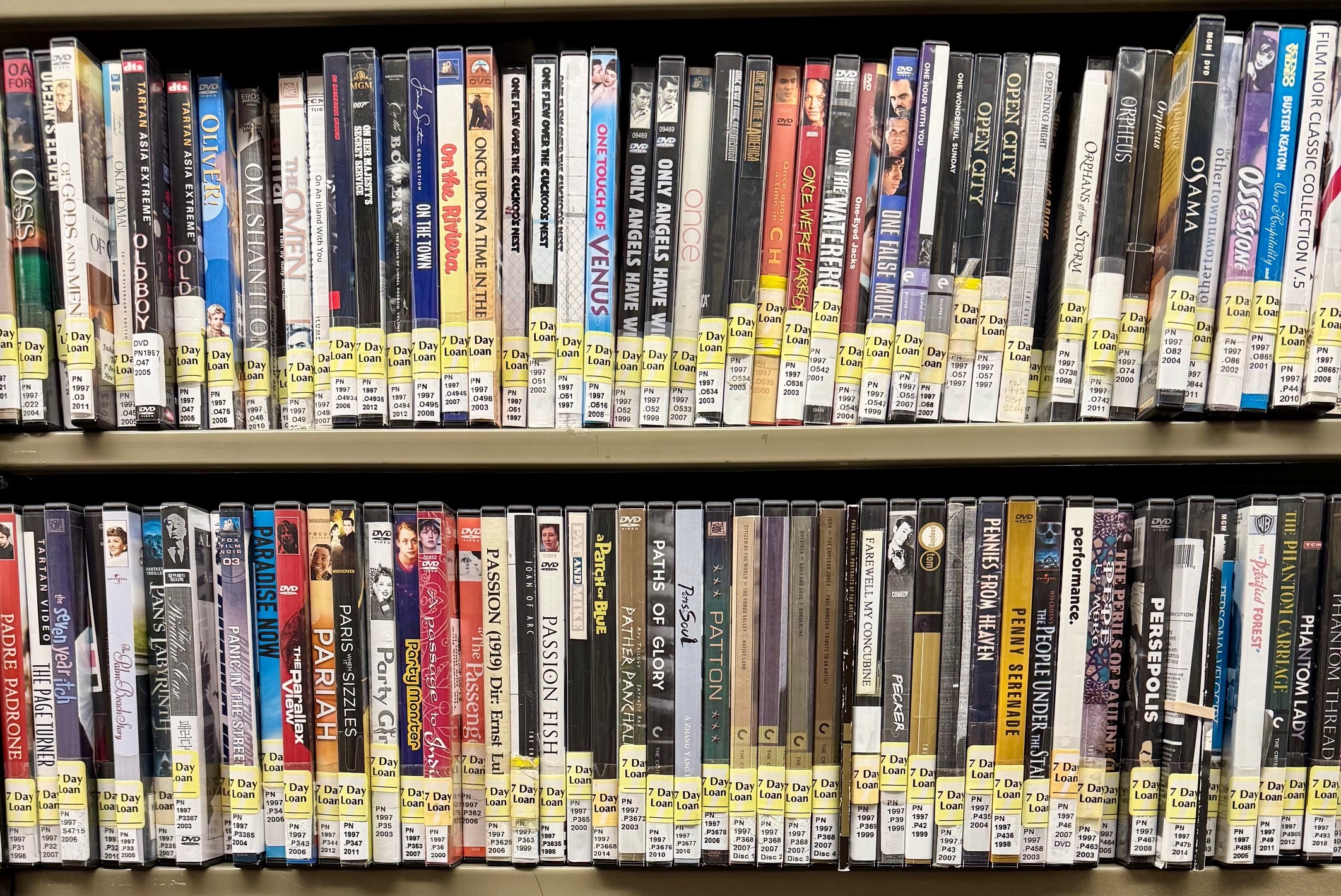 library dvds on shelf