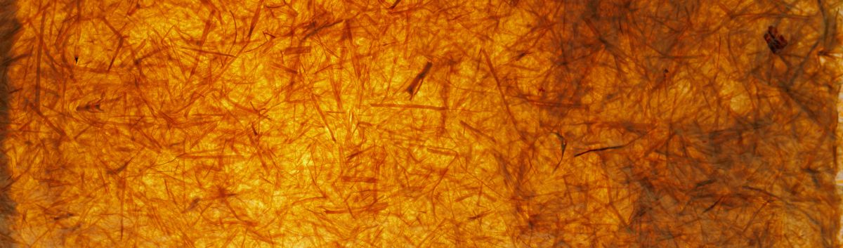 a closeup of an amber and yellow toned, plant fiber based paper-like material, illuminated from behind. A complex pattern of overlapping fibers and uneven translucency emerges as light penetrates through an uneven thickness of highly textured material