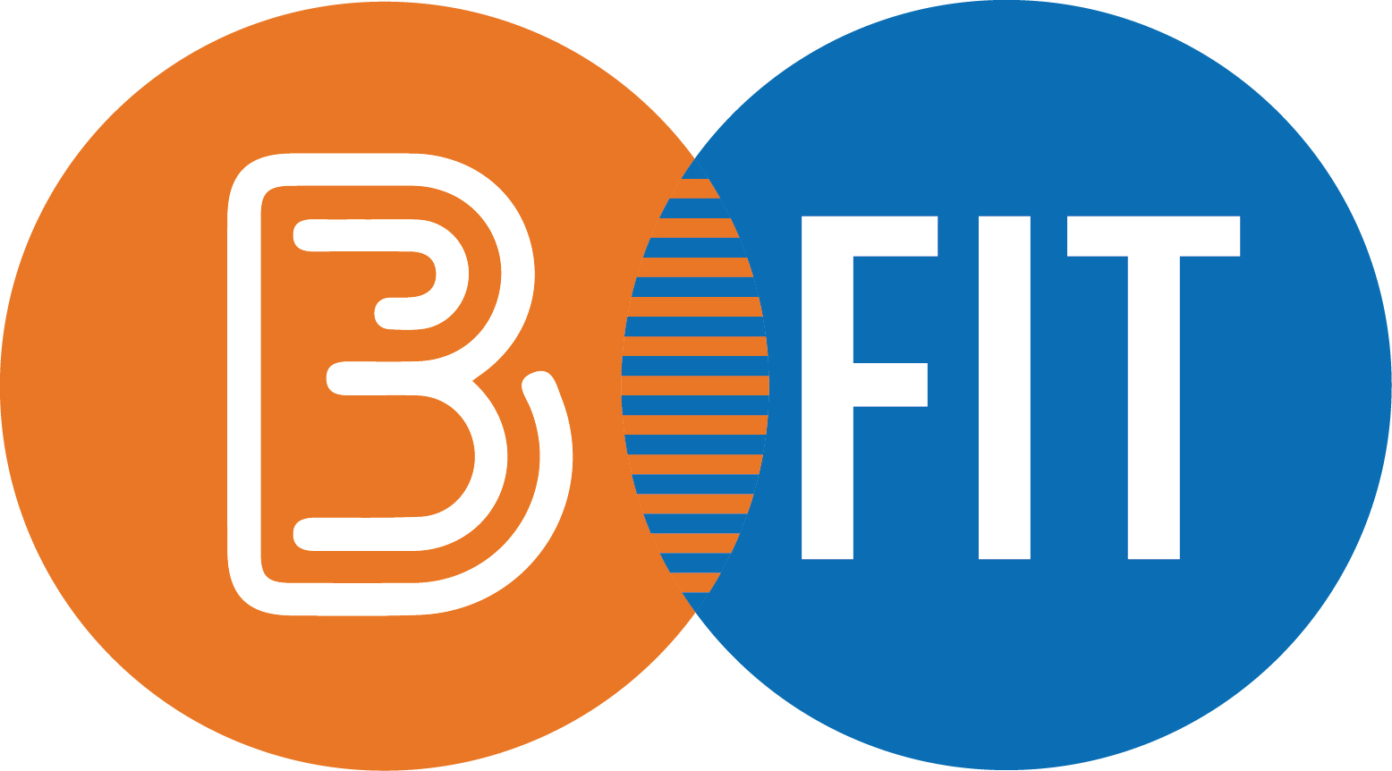 FIT-Brightspace Logo Combined