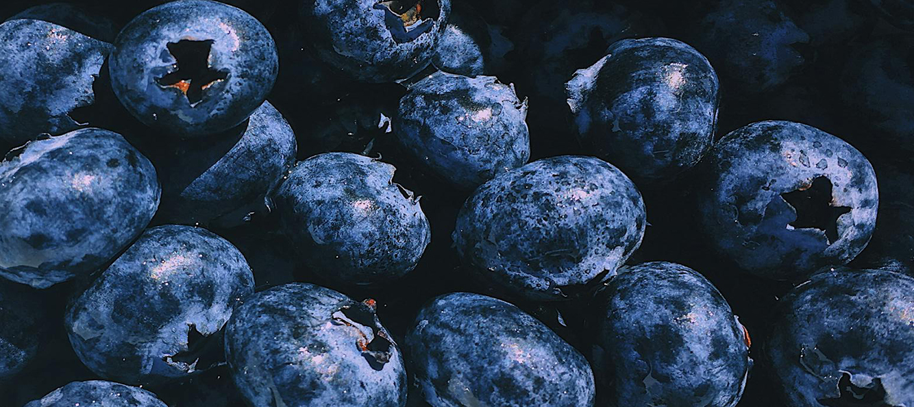 Photograph of blueberries