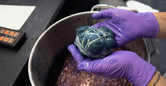 hands holding sustainable cloth dipped in natural dye