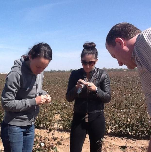 students in cotton field