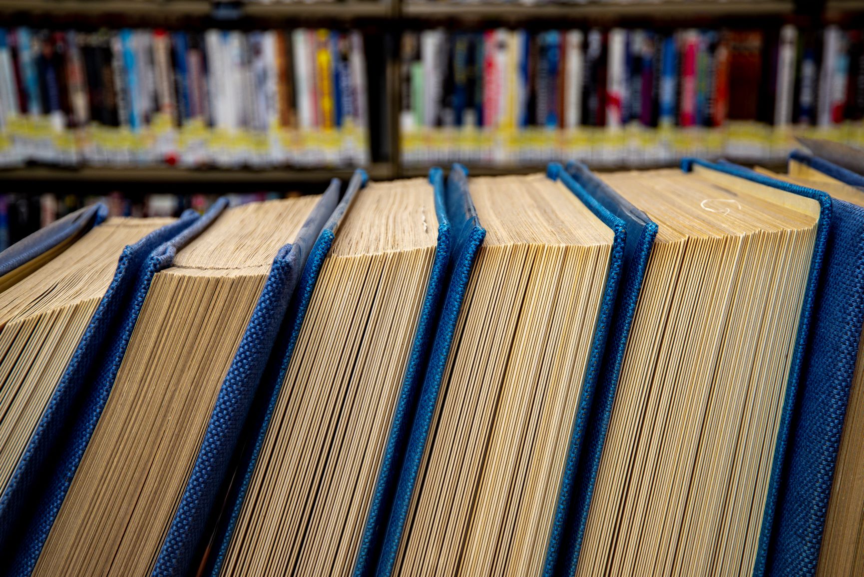 picture of book volumes on library shelves