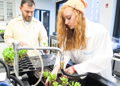 students working with soil in lab